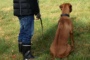 Treffen1