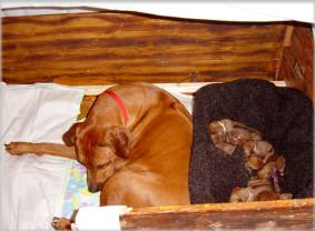 B-Wurf vom 07.08.2003