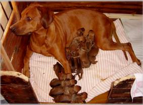 B-Wurf vom 07.08.2003