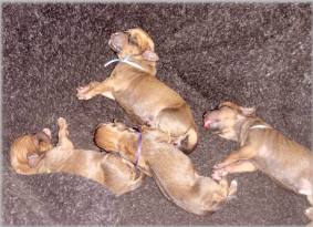 B-Wurf vom 07.08.2003