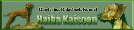 Haiba Kaisoon Rhodesian Ridgeback Kennel (VDH/FCI)