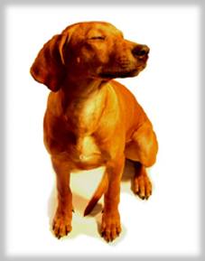 Haiba Kaisoon Brightness Of A Sunray