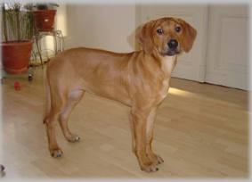 Haiba Kaisoon Brightness Of A Sunray