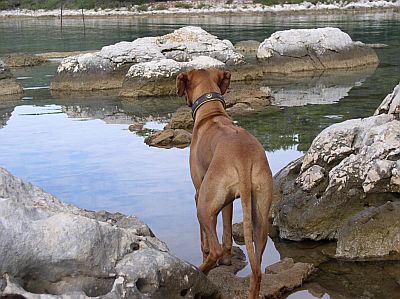 Haiba Kaisoon Chianga