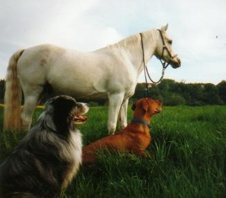 Dusty, Sam und Marusha