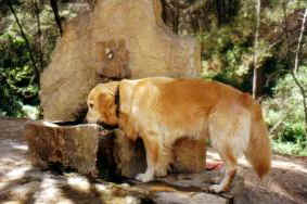 Dahna