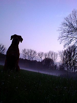 Haiba Kaisoon Brightness Of A Sunray