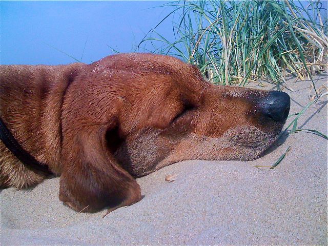 Haiba Kaisoon Brightness Of A Sunray