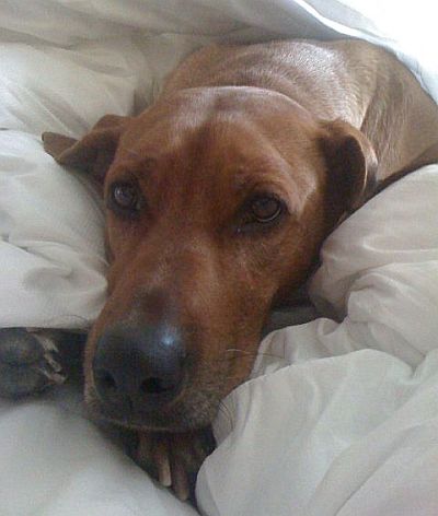 Haiba Kaisoon Brightness Of A Sunray